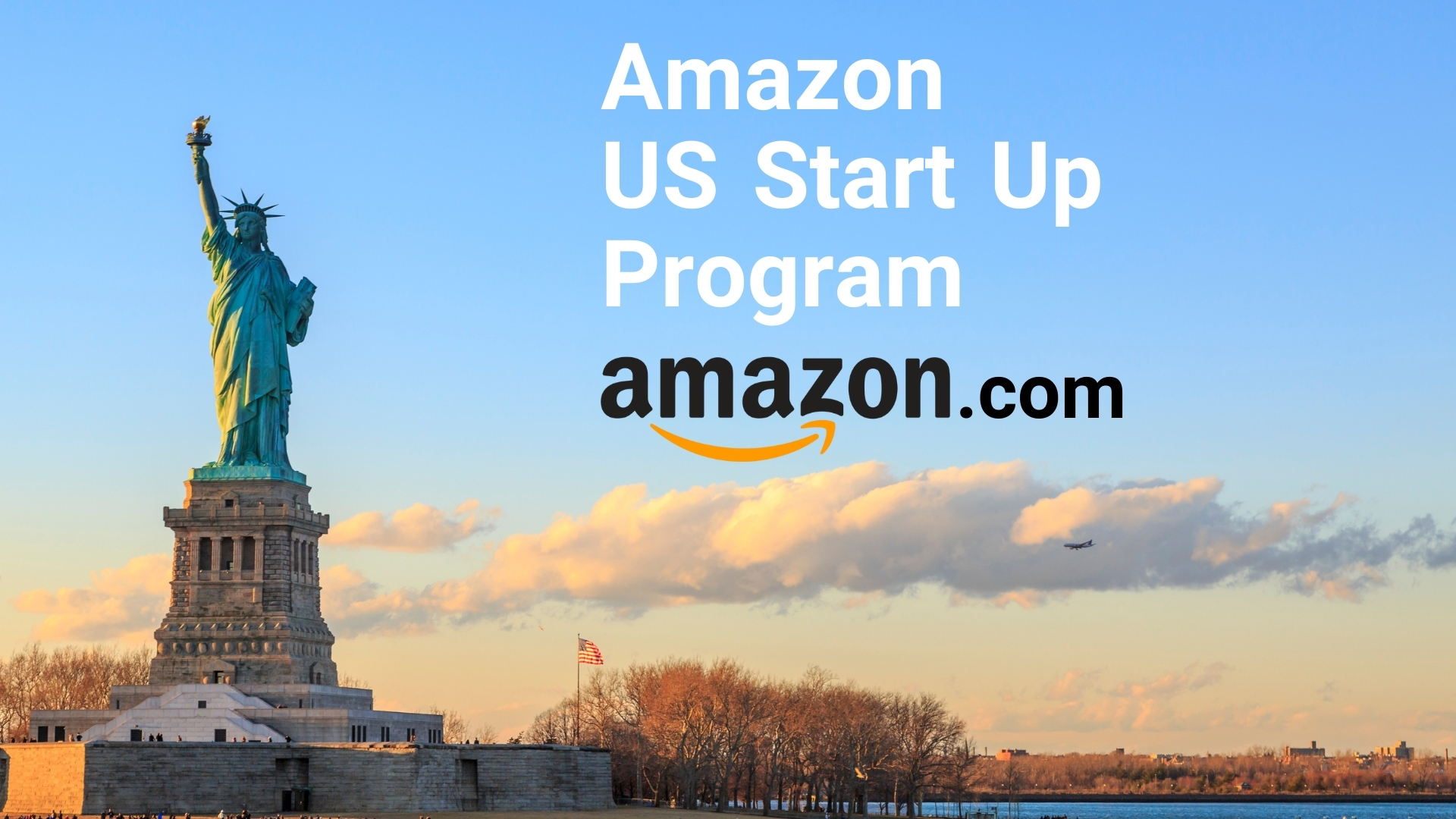 amazon america private label and fba sales